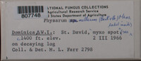 Image Associated With the Occurence